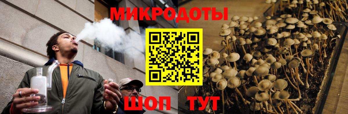 Галлюциногенные грибы Magic Shrooms  Вход с VPN  Псилоцибиновые грибы мухоморы  Чебоксары 